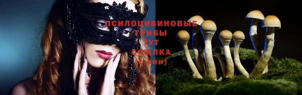 бошки Заволжье