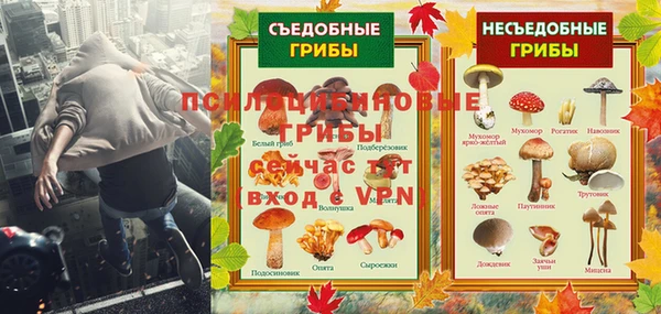 мяу мяу мука Заволжск