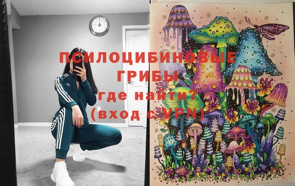 бошки Заволжье