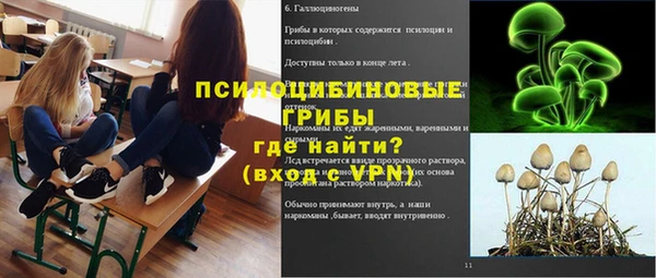 мяу мяу мука Заволжск