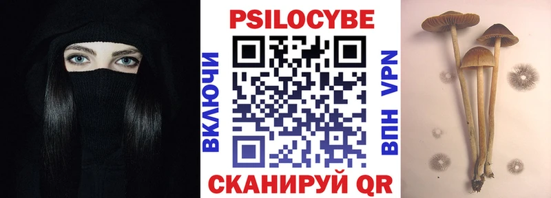 Псилоцибиновые грибы Psilocybine cubensis  Купить где  Нефтекумск 